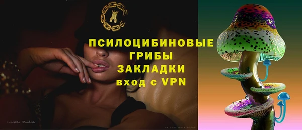 гидра Лабытнанги