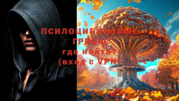 ПСИЛОЦИБИНОВЫЕ ГРИБЫ Лагань