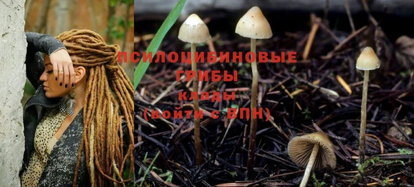 ПСИЛОЦИБИНОВЫЕ ГРИБЫ Лагань