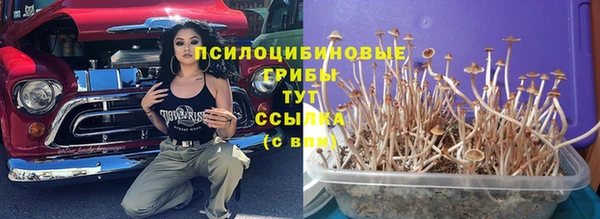 мдма Ладушкин