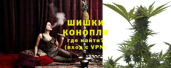 ПСИЛОЦИБИНОВЫЕ ГРИБЫ Лагань