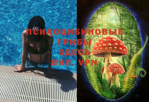 гидра Лабытнанги