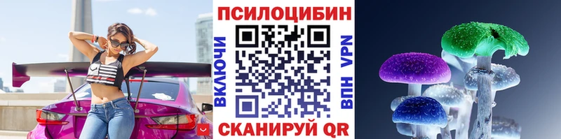 МЕГА   Томари  Псилоцибиновые грибы Psilocybe  купить  цена 