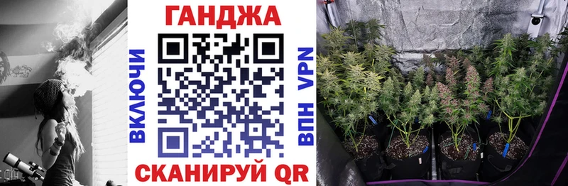 Конопля Amnesia  Томари 